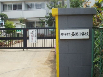 ���ӊ��@���P�J�s��/�������w�Z �k��6���B 480m