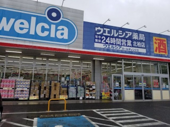 ���ӊ��@�E�G���V�A�k���X �k��12���B 930m