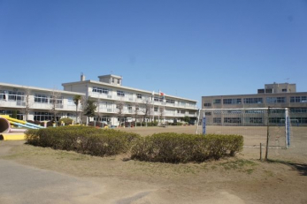 ���ӊ��@���Ō��������ŏ��w�Z �k��13���B 1000m