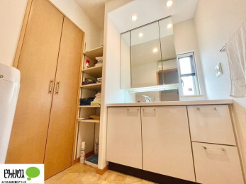 ���ʑ�E���ʏ��@�O�ʋ��̗���A�V���N���ȂǑ������[��������A�L�X�Ƃ������ʉ��ϑ�ł��B