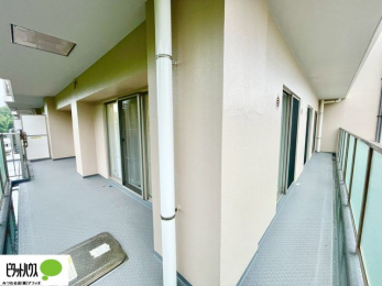 �o���R�j�[�@�z������̗ǂ��L�X�o���R�j�[�B