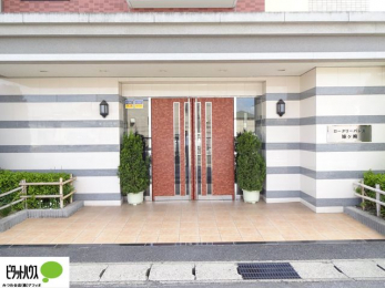 �G���g�����X�@�������ȓ���