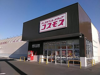 ���ӊ��@�f�B�X�J�E���g�h���b�O�R�X���X�哇�c�X �k��15���B 1150m