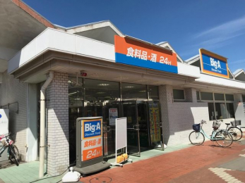 ���ӊ��@������Ѓr�b�O�E�G�[�K�u�쑳���Y�c�n�X �k��14���B 1080m