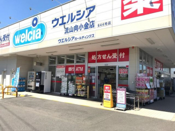 ���ӊ��@�E�G���V�A���R�������X �k��11���B 850m