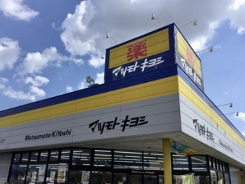 ���ӊ��@�}�c���g�L���V/����ǂ���������X �k��5���B 370m