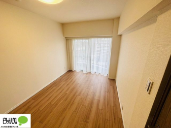���̑����ρ@�傫�ȑ����疾�邢�z�˂�������܂��B