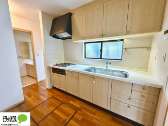 �L�b�`���@���t���̖��邢�L�b�`���B�L���V���N�ő傫�Ȃ�����t���C�p�������N���N�􂦂܂��B
