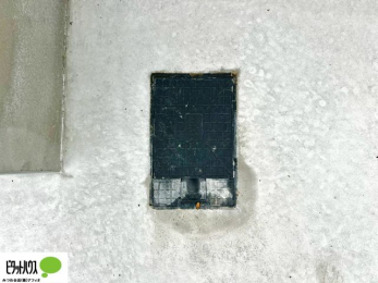 ���̑��@��Ԃɂ��֗��ȊO�����B
