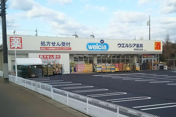 ���ӊ��@�E�G���V�A�s���C����X �k��11���B 840m