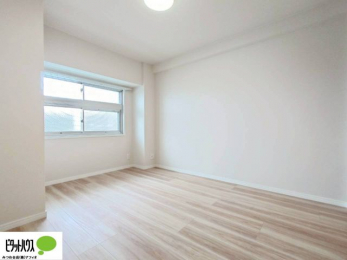 �Q���@�傫�ȑ����疾�邢�z�˂�������܂��B