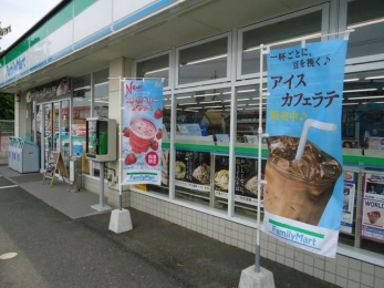 ���ӊ��@�t�@�~���[�}�[�g�叼�����v�X �k��10���B 790m