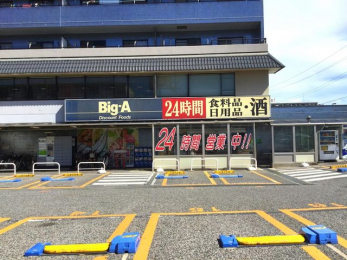 ���ӊ��@�r�b�O�E�G�[/�D���K�u���X �k��7���B 520m