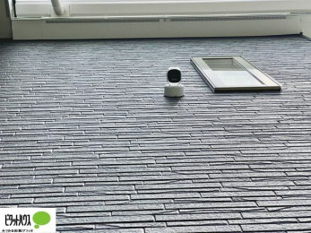 ���̑��@���C�����X�Z���T�[�J�����B�J�����{�̂�WiFi�ڑ�����ΐ�p�v����ʂ��ĉf���m�F���\�ł��B