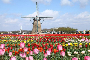 ���ӊ��@���q�ӂ邳�ƍL�� �k��13���B 980m