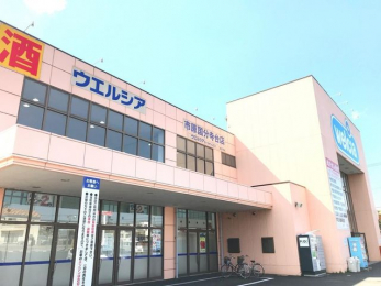 ���ӊ��@�E�G���V�A�s����������X �k��24���B 1850m