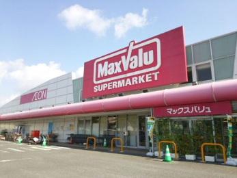 ���ӊ��@�}�b�N�X�o�����C����X �k��6���B 460m