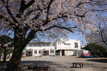���ӊ��@���חc�t�� �k��6���B 420m