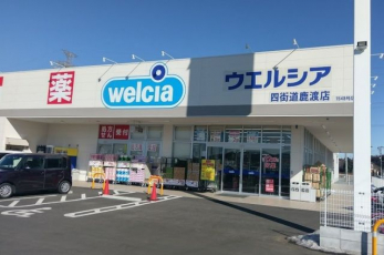 ���ӊ��@�E�G���V�A�l�X�����n�X �k��30���B 2400m