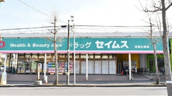 ���ӊ��@�h���b�O�Z�C���X�t���� �k��12���B 950m