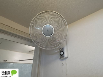 ���̑��@���ʏ��̃N���b�v�t�@��