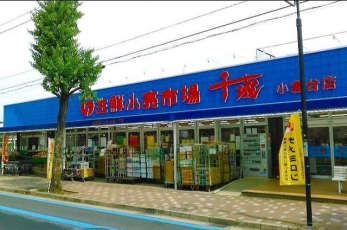 ���ӊ��@���N�����s���鏬�q��X �k��3���B 240m