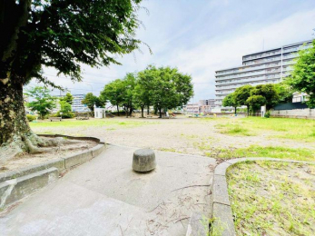 ���ӊ��@�N�Ҍ��� �k��2���B 130m